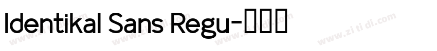 Identikal Sans Regu字体转换